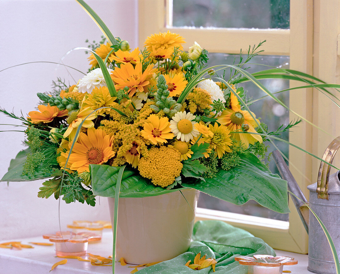 Rudbeckia (coneflower), Coreopsis (girl's eye), Achillea