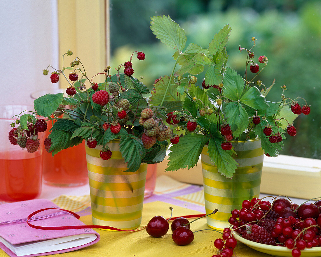 Fragaria (strawberries), Rubus (raspberries), Ribes (currants)