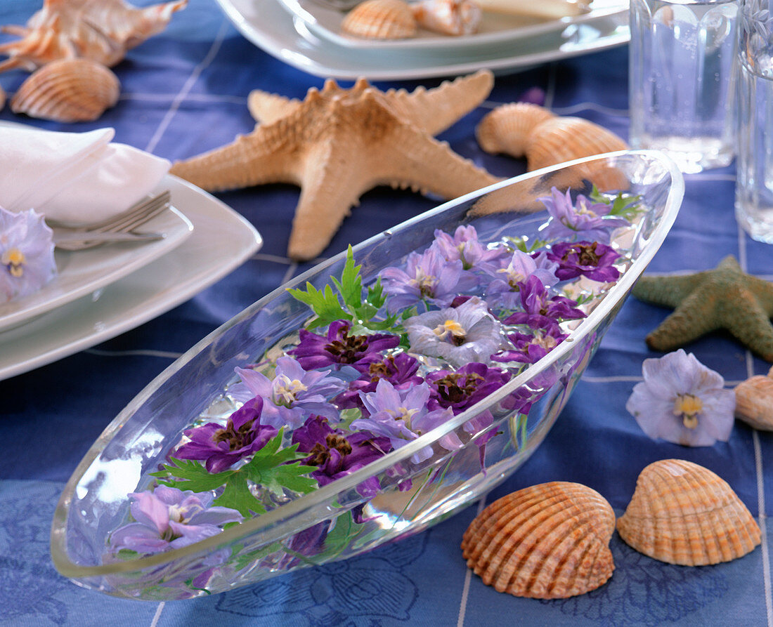 Delphinium (Ritterspornblüten) und -blätter schwimmen in Glas