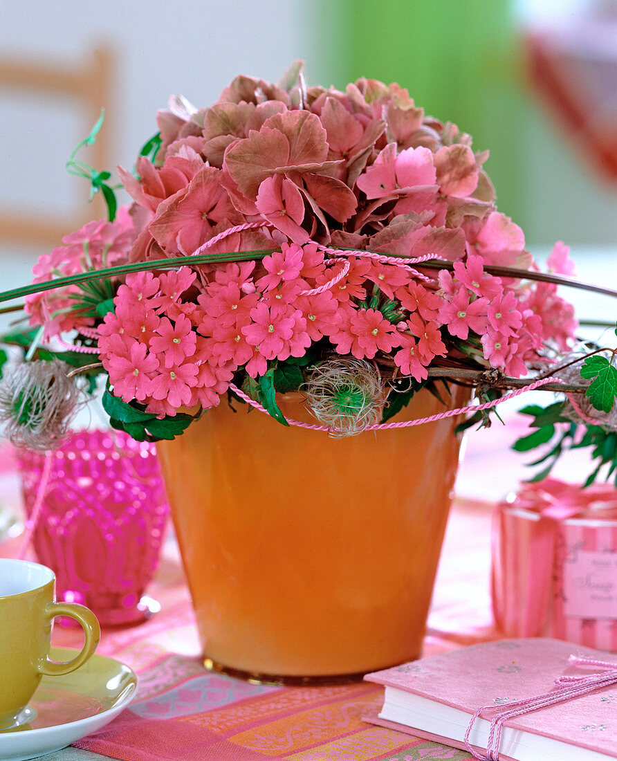 Hydrangea (Hydrangea), Verbena (Verbena), Clematis (Clematis)