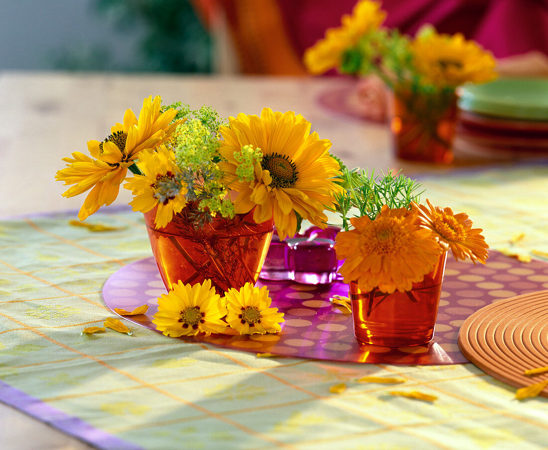 Heliopsis (Sonnenauge), Coreopsis 'Sterntaler' (Mädchenauge)