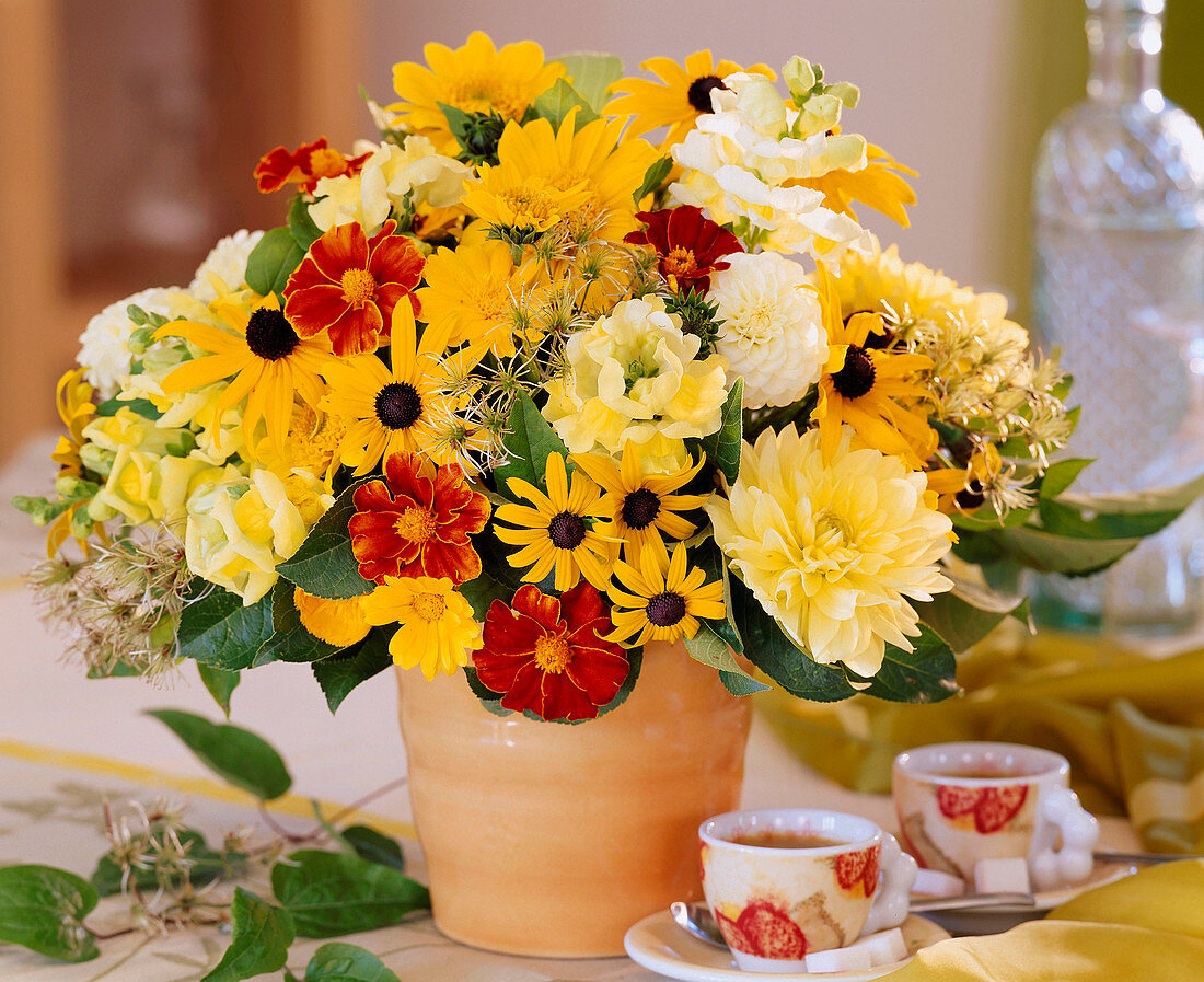 Dahlia (Dahlien), Rudbeckia (Sonnenhut), Clematis (Waldrebe), Helianthus (Sonnenblume)