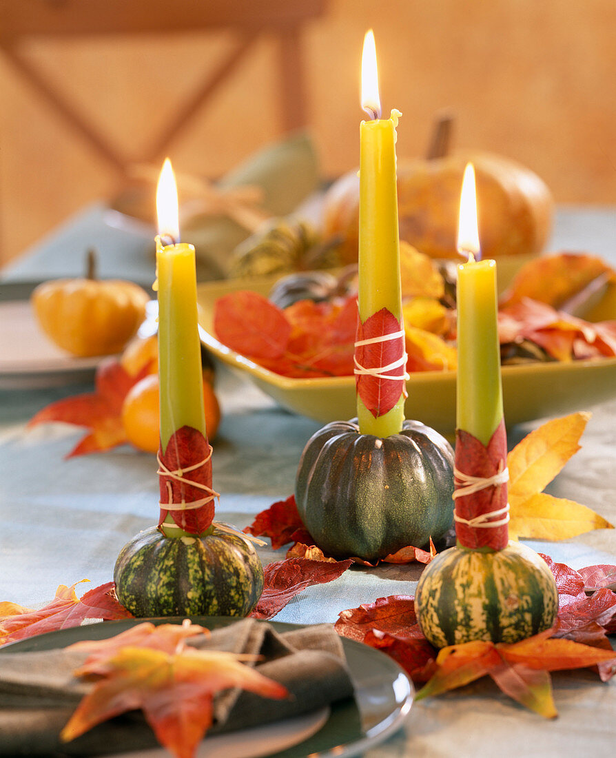 Cucurbita ornamental squash as a candlestick, leaves of Amelanchier rock pear