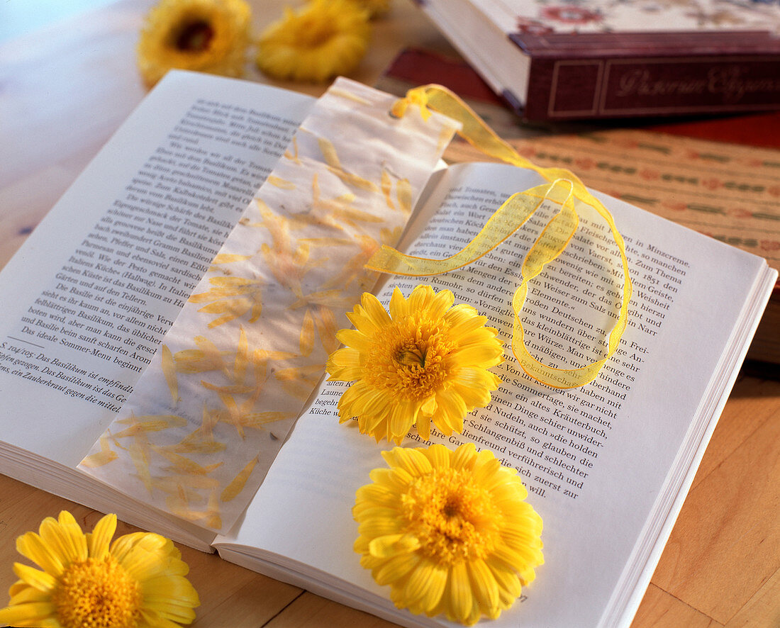 Bookmark with pressed petals