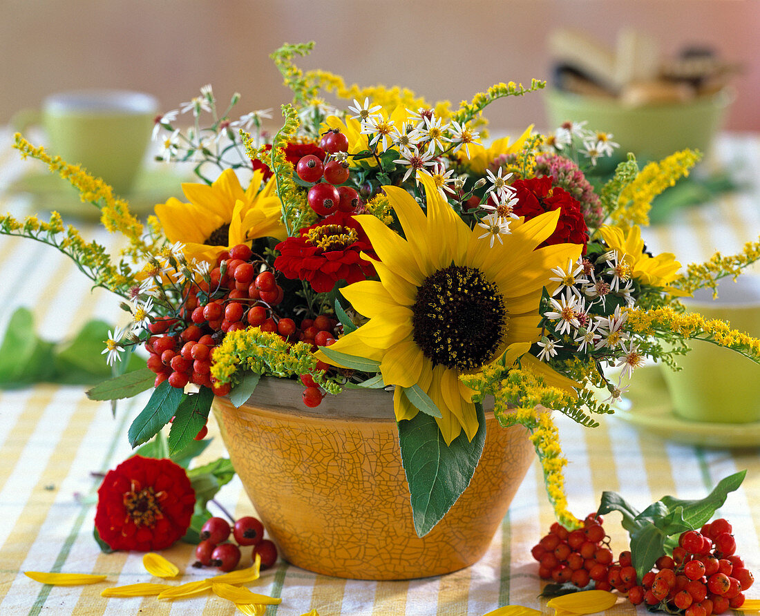 Helianthus / Sonnenblumen, Solidago / Goldrute