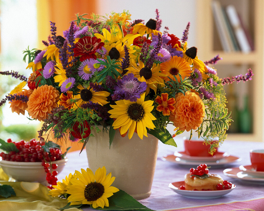 Rudbeckia (coneflower), Helianthus (sunflower)