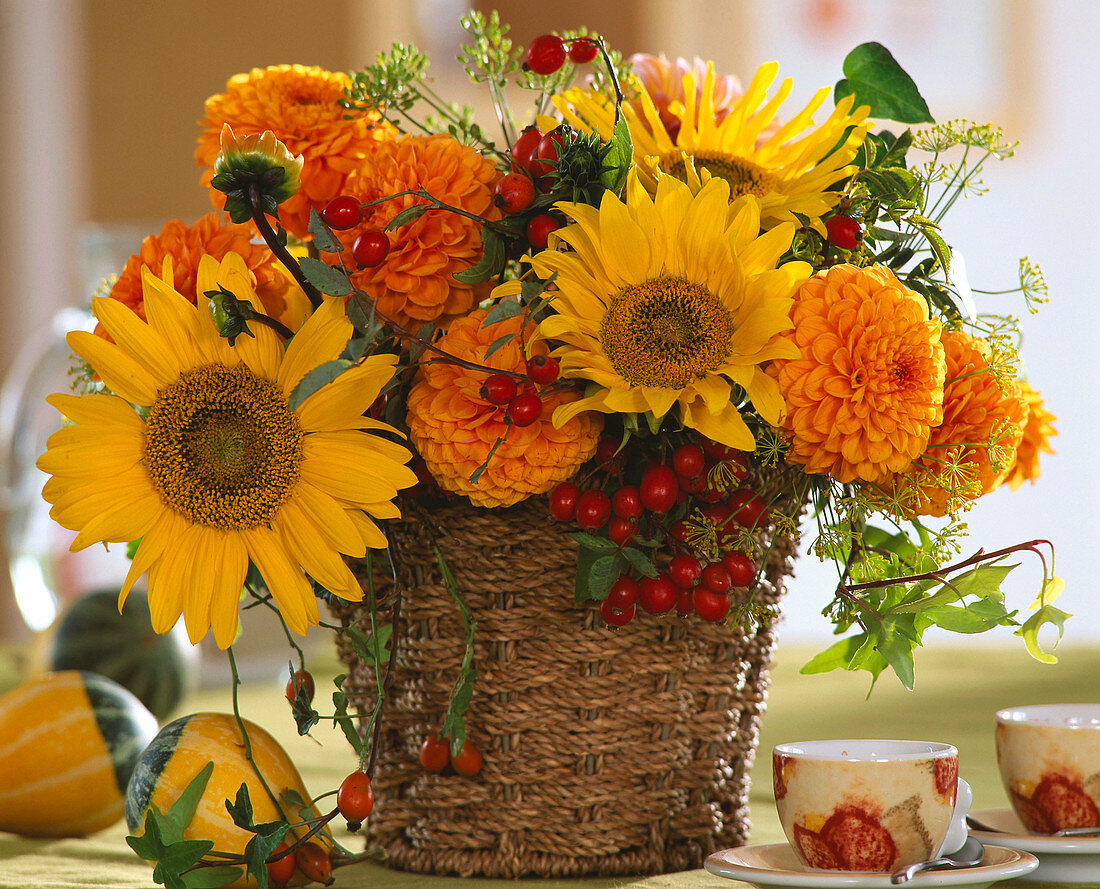 Helianthus (sunflowers), Dahlia (dahlias)