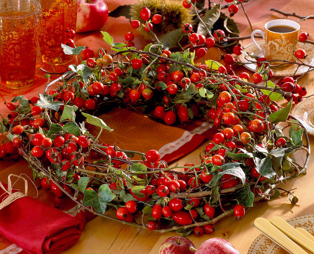 Rosa (rosehips), Hedera (ivy vines)