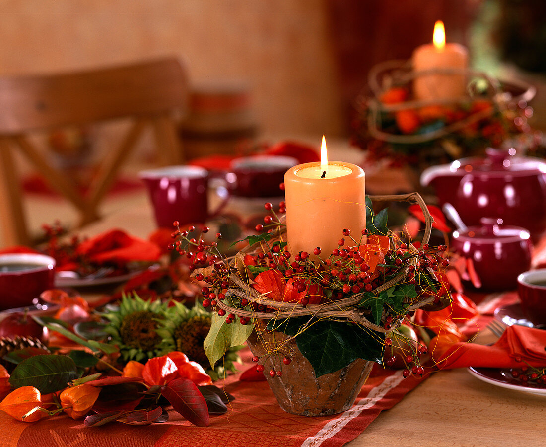 Candle decoration: Clematis vine, Rosa (rosehip), Hedera (ivy), Physalis (lampion flower)