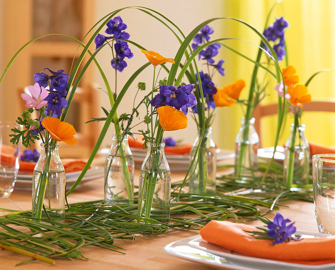 Delphinium (delphinium), Malva (mallow), Eschscholzia (gold poppy), Spartina (gold bar grass)