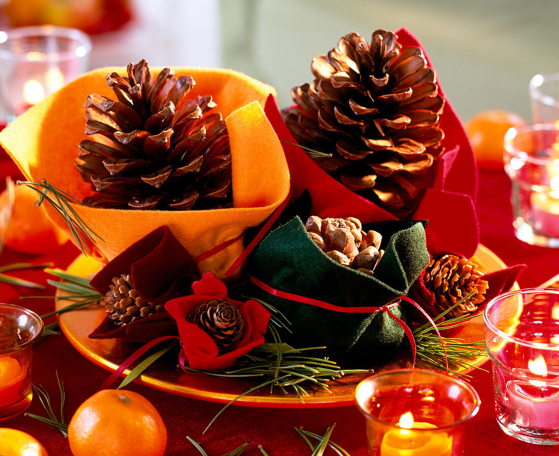 Pinus (pine cone), pine cones and silk pine in felt