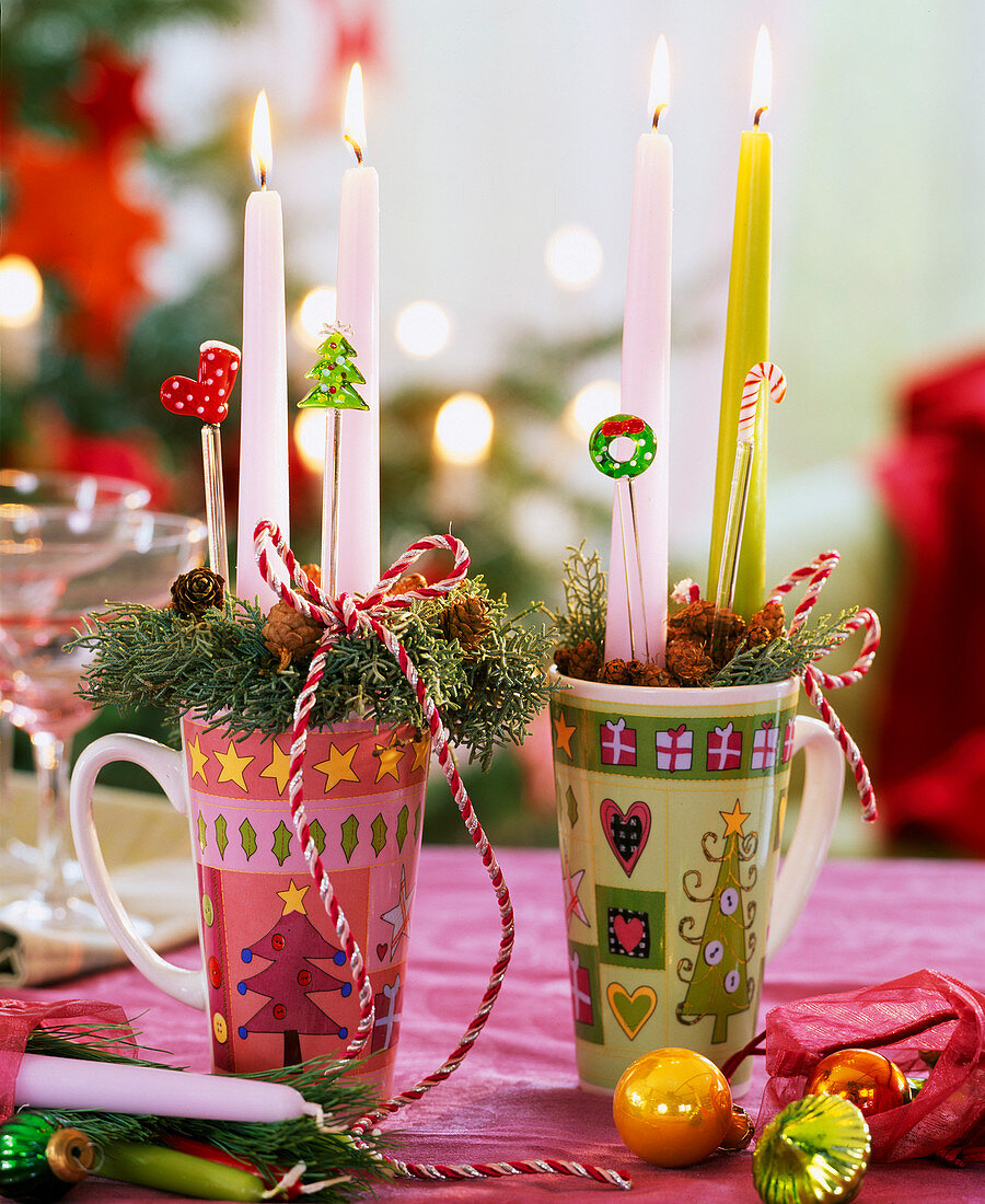 Cupressus arizonica (Arizona cypress, candles)