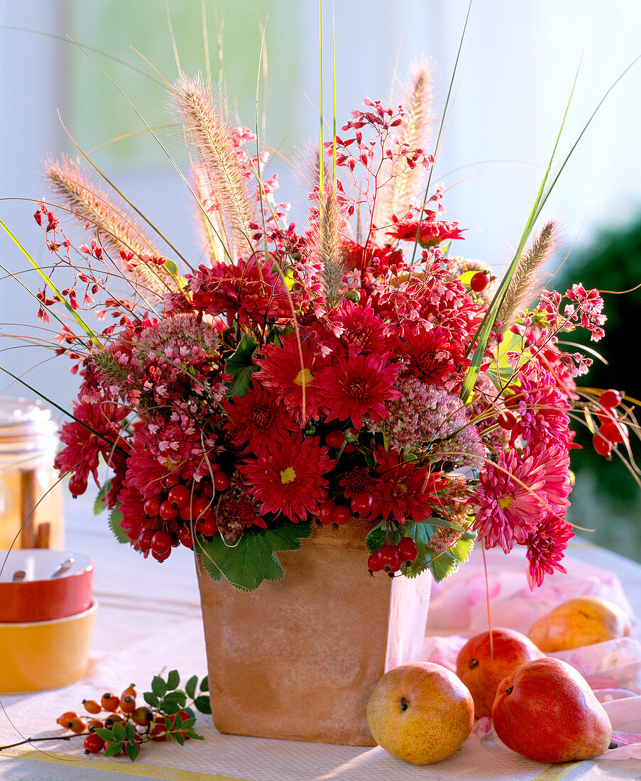 Chrysanthemum, Sedum (stonecrop), Rosa (rosehips), Heuchera (purple bellflower)