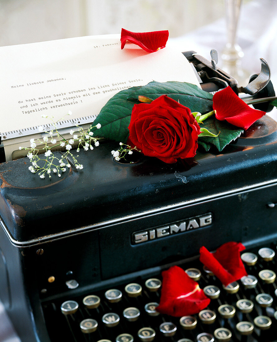 Old typewriter with pink (red rose)