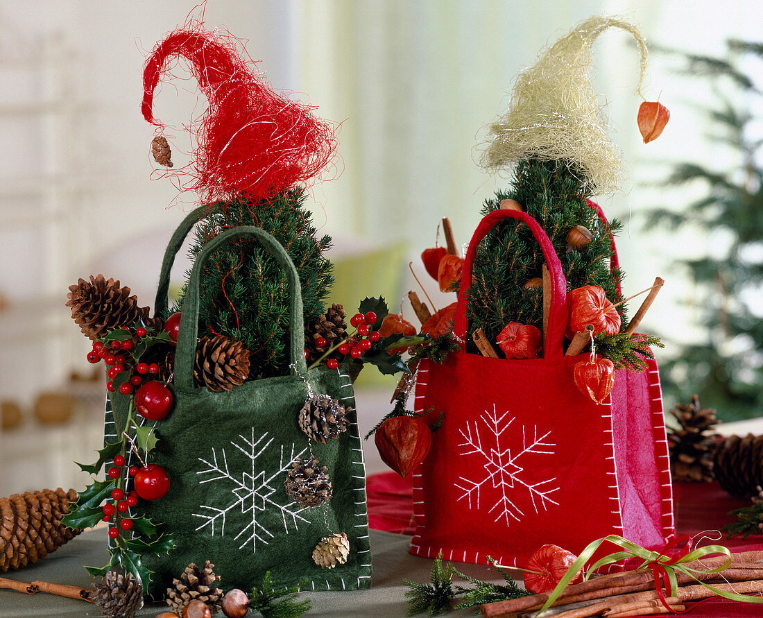 Picea 'Conica' (sugar loaf spruce in green and red felt bag, pointed caps a)