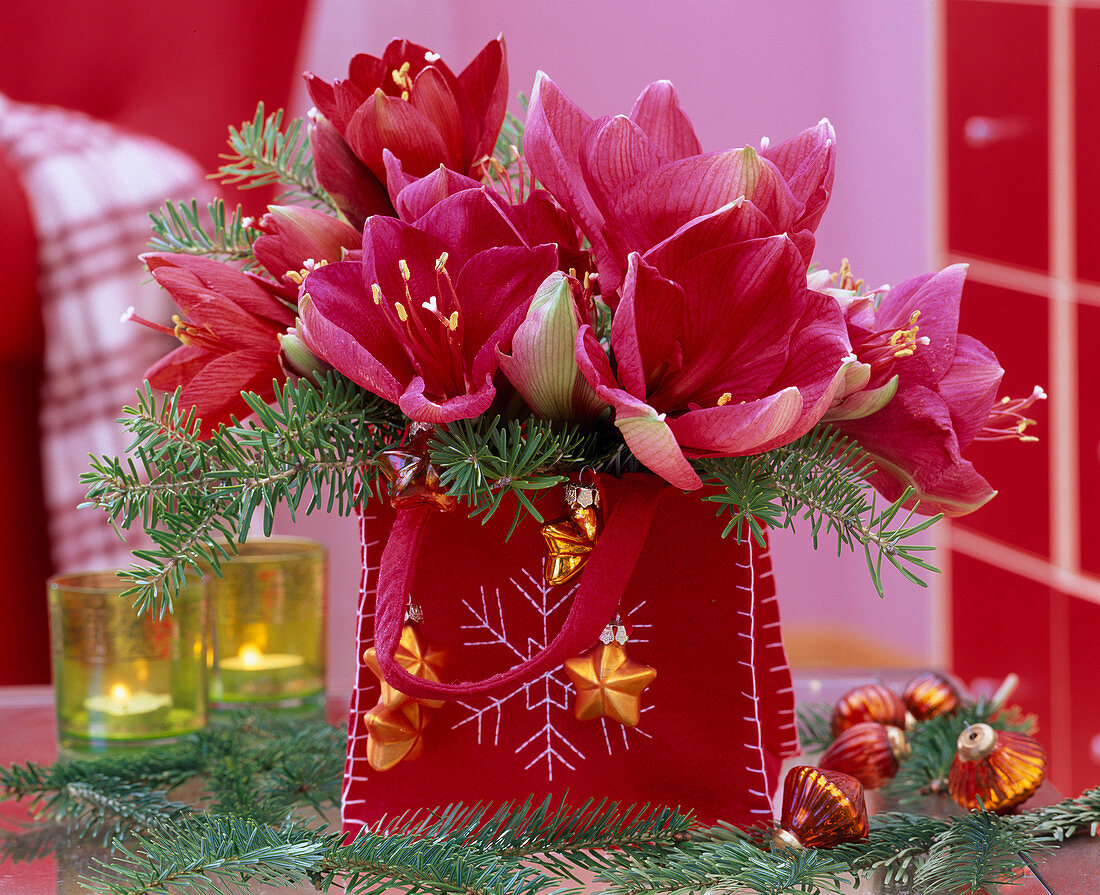 Hippeastrum (amaryllis), Abies koreana (Korean fir), Tree ornament, Red felt bag