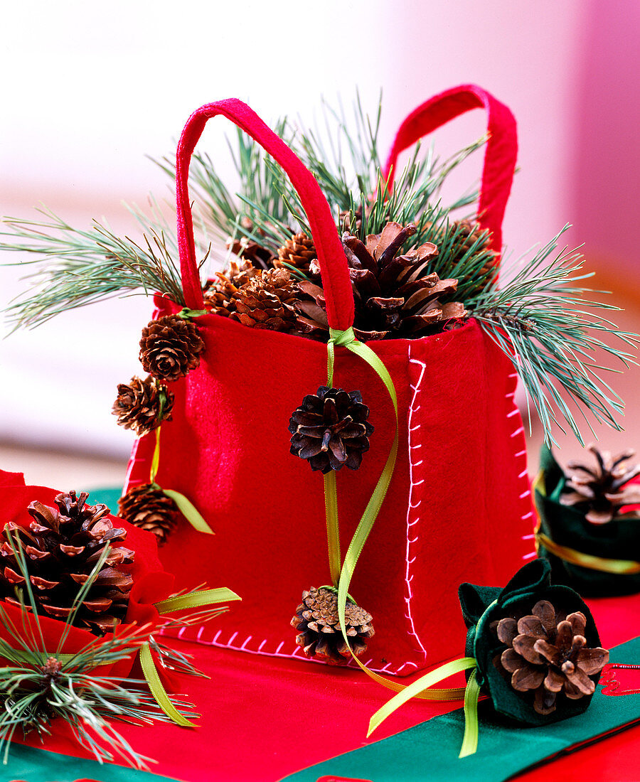 Red felt bag with pinus (pine), twigs and cones