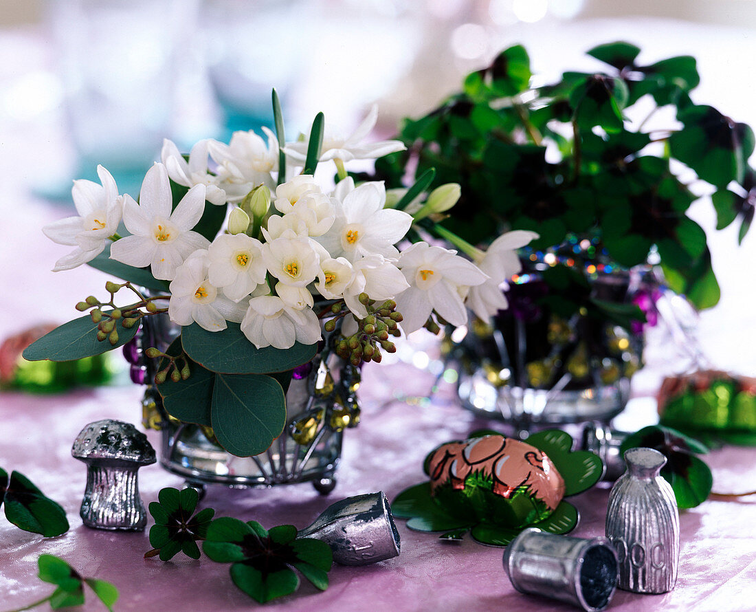 Narcissus (Tazett daffodils), Eucalyptus, Oxalis 'Iron Cross' (Lucky Clover)