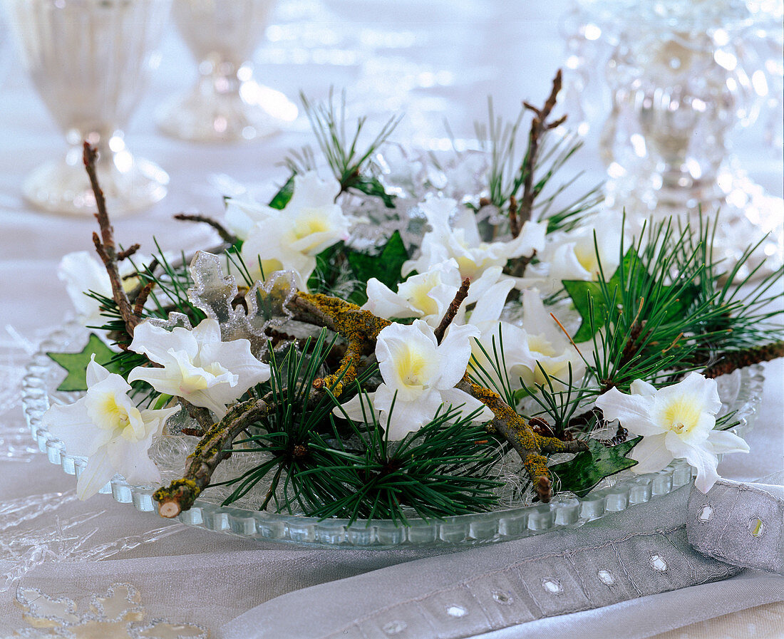 Dendrobium, Pinus, Branches, Green Glass Stars on Glass