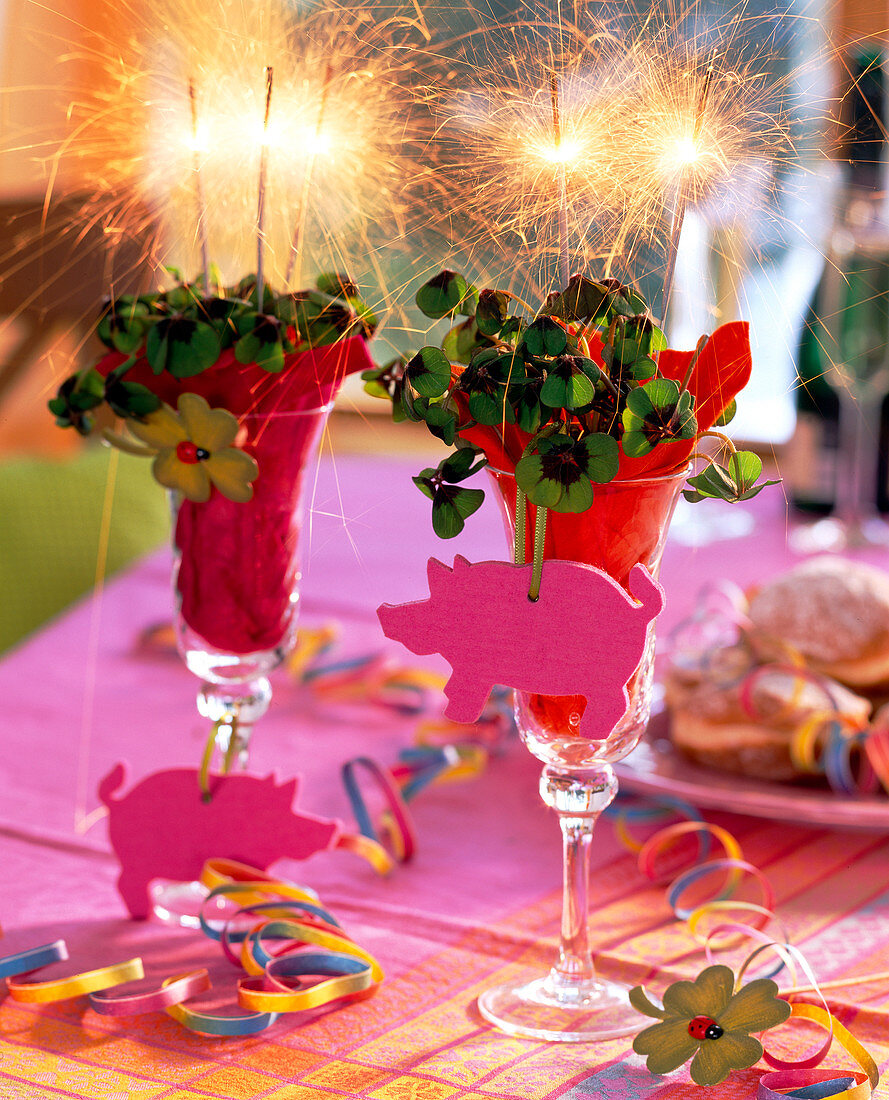 Oxalis deppei 'Iron Cross' (Lucky Clover) in champagne glasses, sparklers and as a symbol of luck