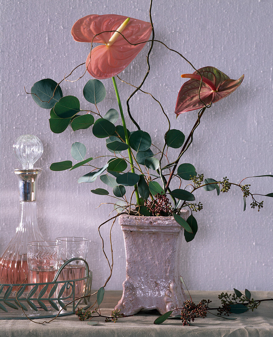 Anthurium andreanum (Flamingo flowers)