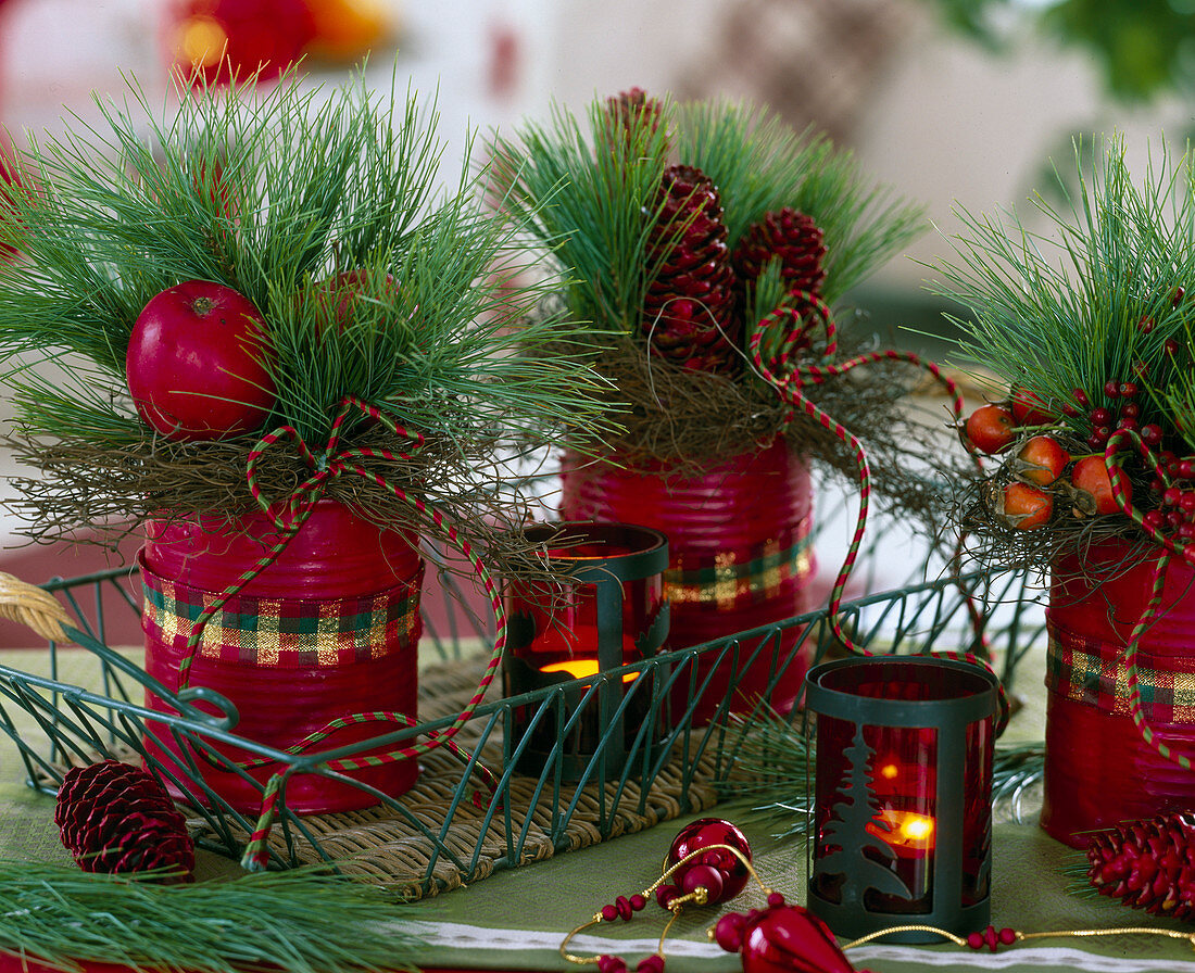 Tin dipped in red wax (2/2). Pinus (silk pine), Malus (apples), Rosa (rose hips).