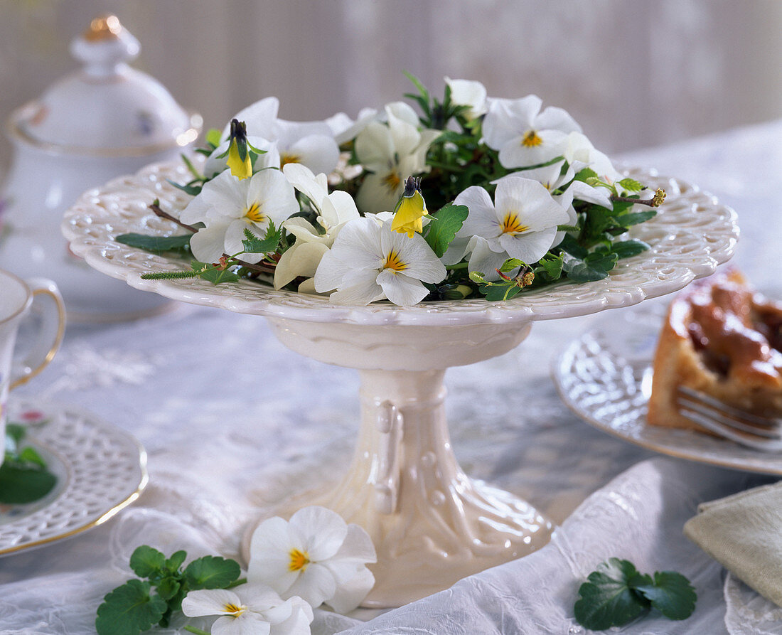 White ceramic bowl with wreath of viola (horned violet)