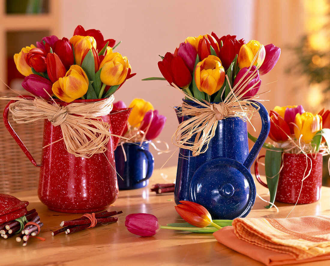 Tulipa (colourful tulips) in red and blue enamel pot
