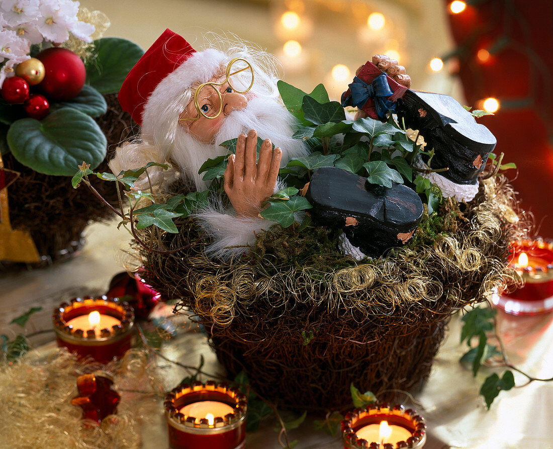 Basket of muehlenbecki vines with Father Christmas, decorated with Hedera (ivy)