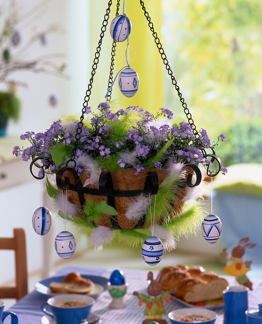 Hanging Basket with myosotis (forget-me-not)