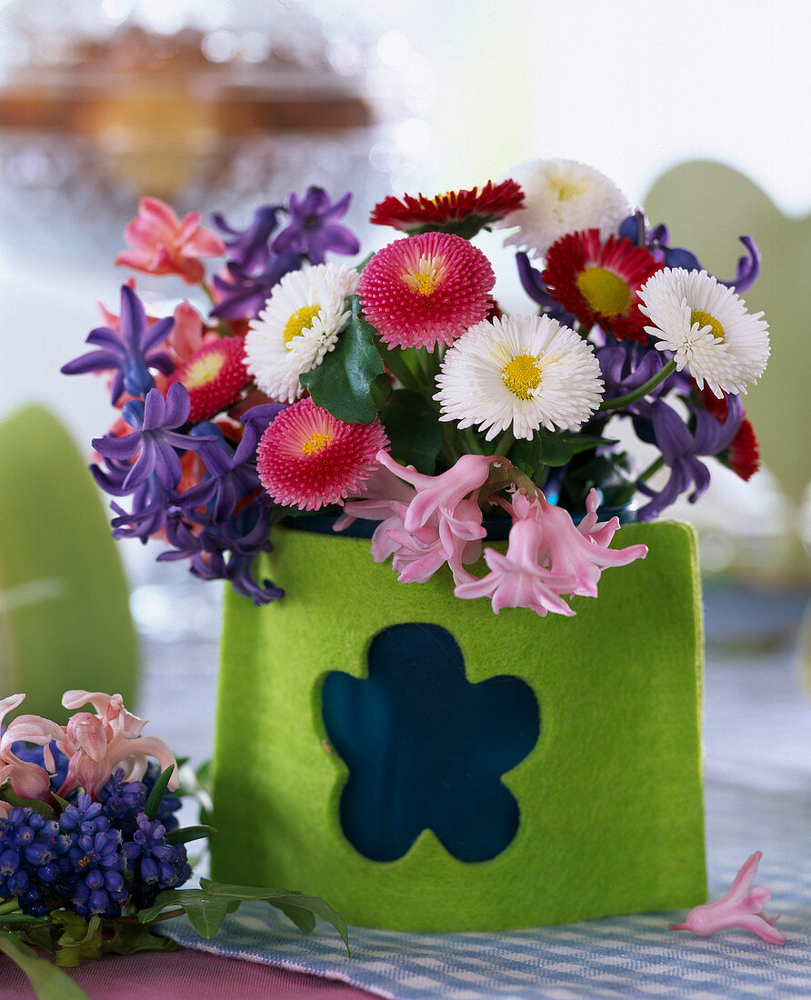 Bellis (amarant), Hyacinthus (Hyacinth)