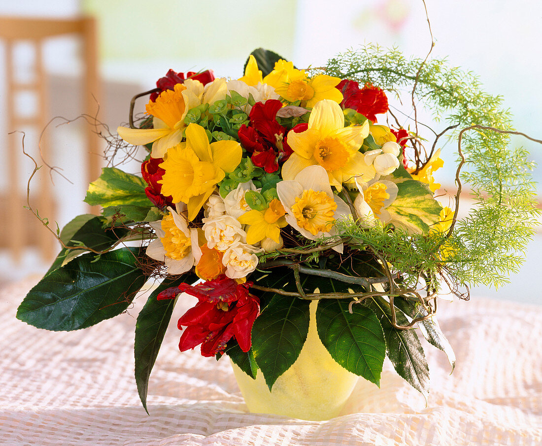 Narcissus (narcissus), Tulipa (parrot tulip)