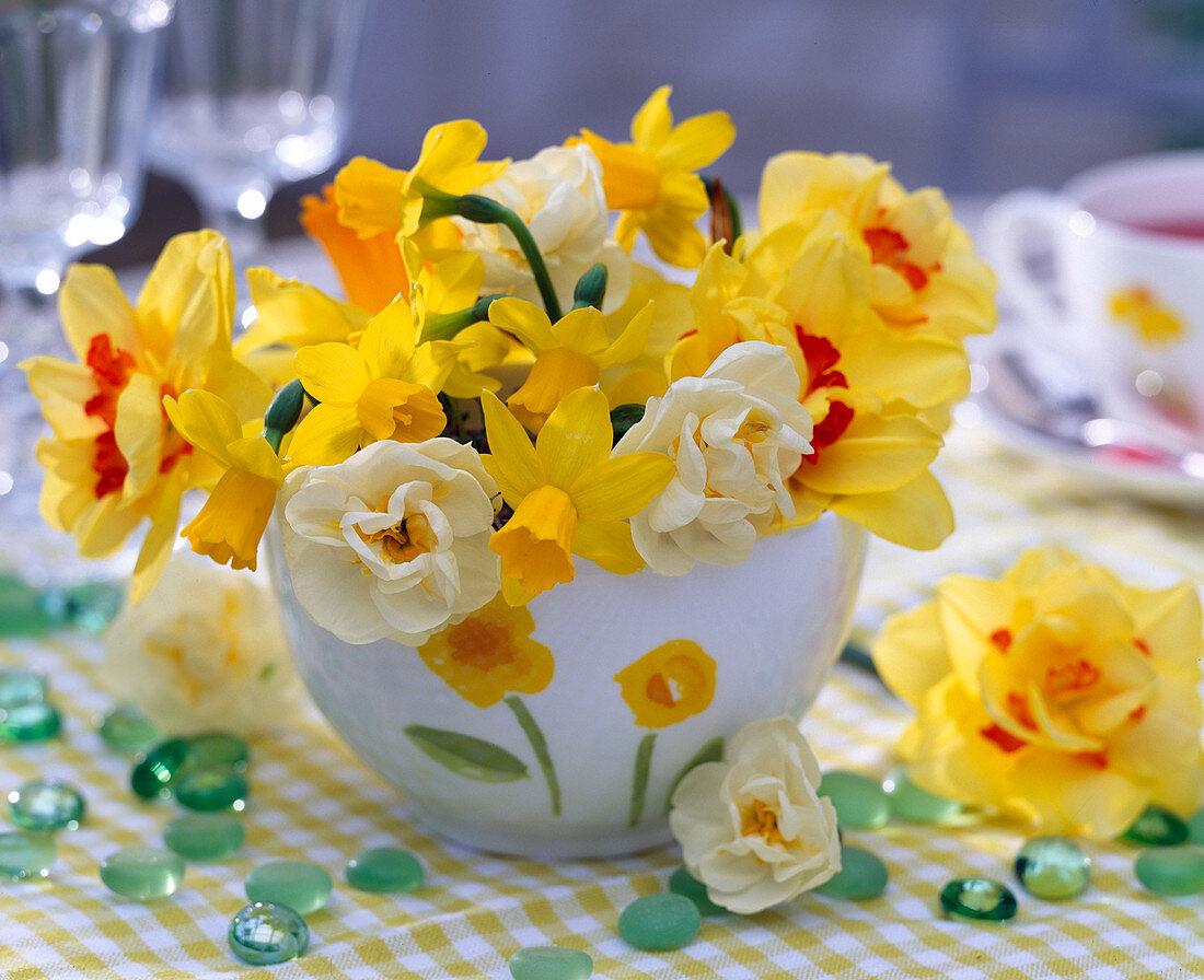 Narcissus 'Bridal Crown', 'Tahiti', 'Tete À Tete'