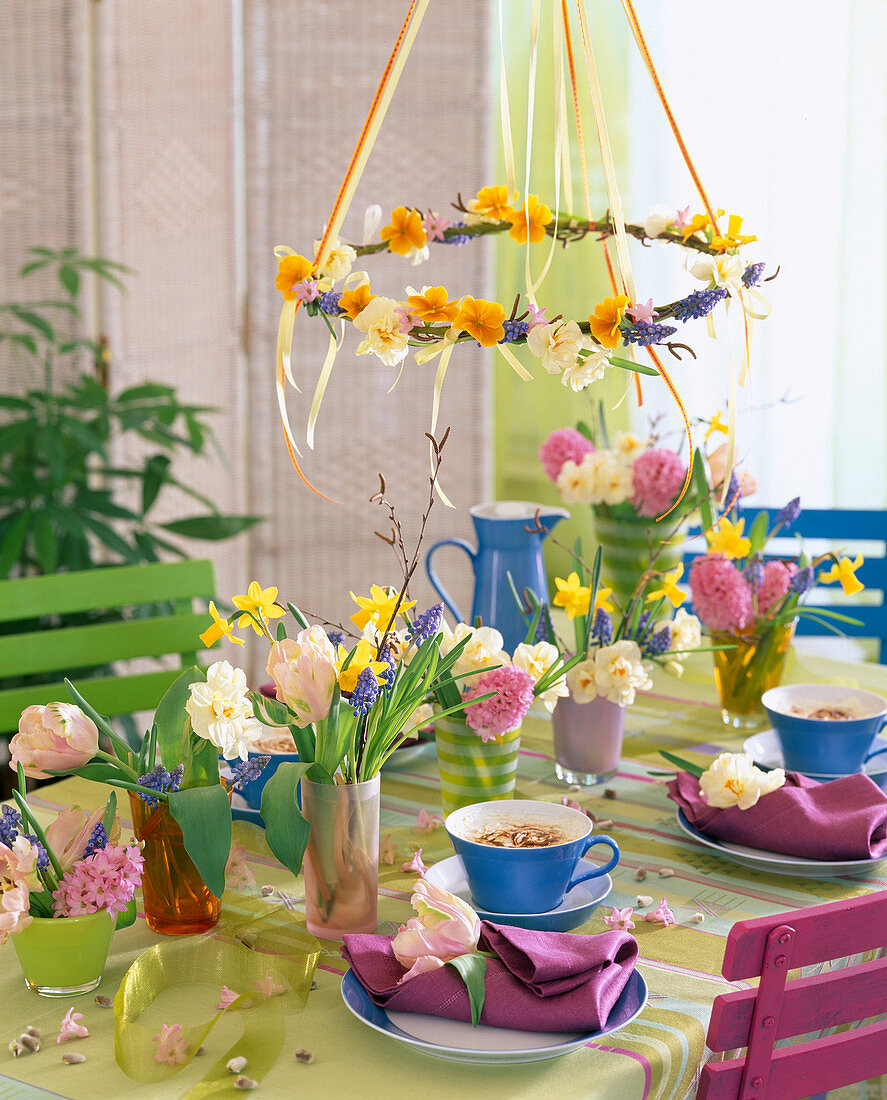 Ceiling hanger with Primula (primrose), Narcissus (Daffodil)