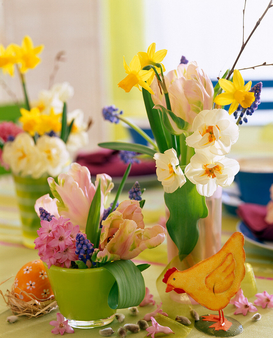 Tulipa (pink parrot Tulip), Hyacinthus (Hyacinth)