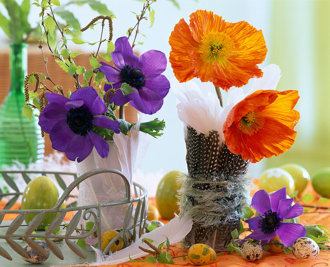 Anemone (lila Kronenanemone), Papaver (oranger Seidenmohn)