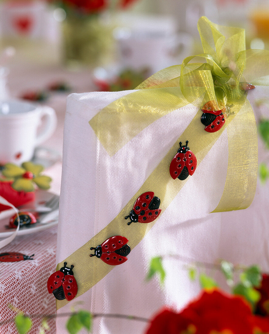 Ribbon decorated with ladybirds