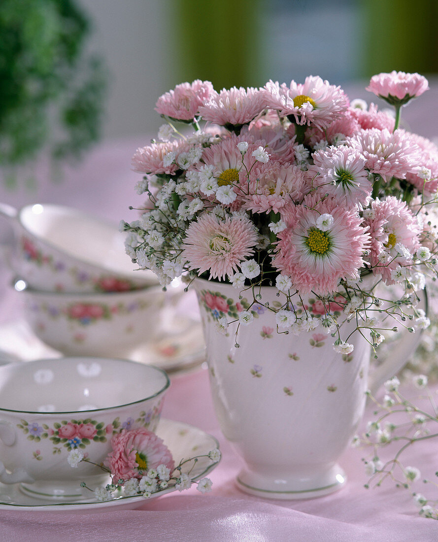 Bellis perennis (Daisy)