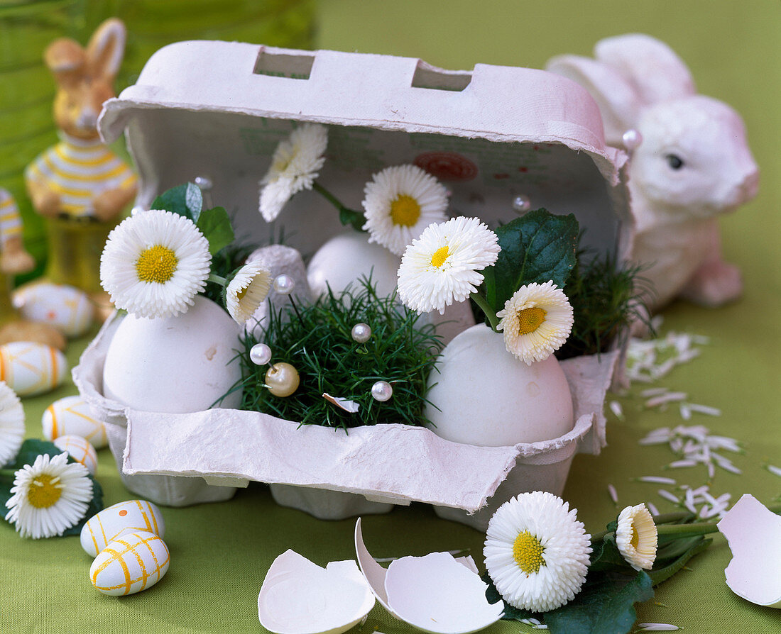 Egg box with eggs as vases, Bellis (Daisies)