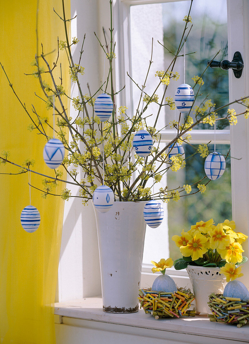 Cornus mas (Cornelian cherry), Primula (yellow primrose)