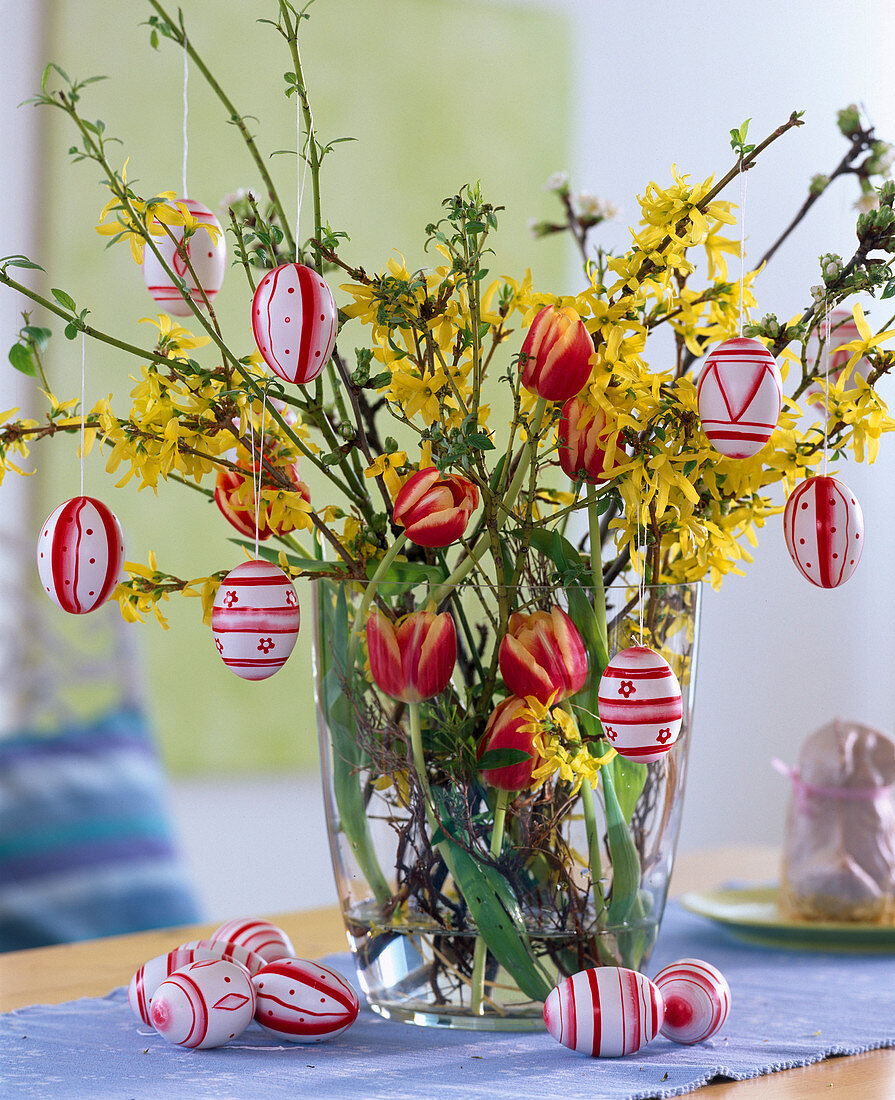 Forsythia (Goldglöckchen), Tulipa (gelb-rote Tulpen)