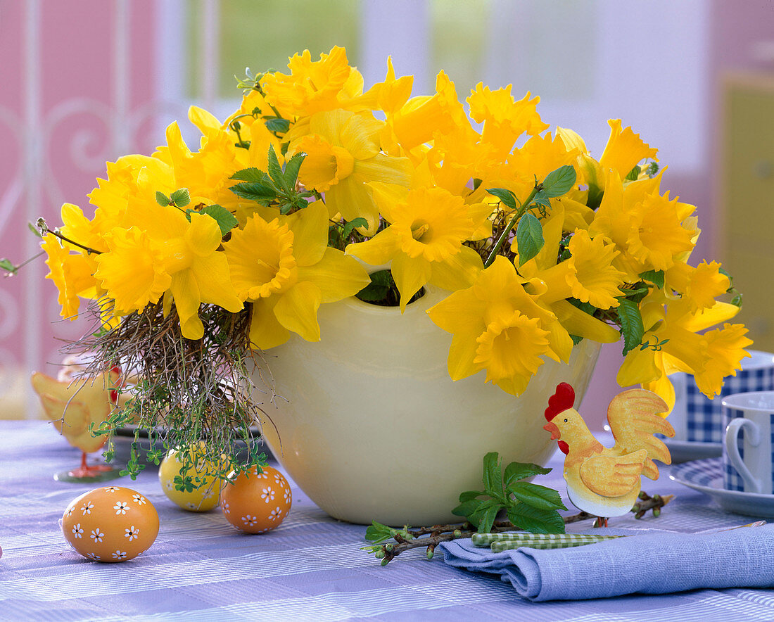 Narcissus (gelbe Narzissen), Prunus (Kirschzweige)