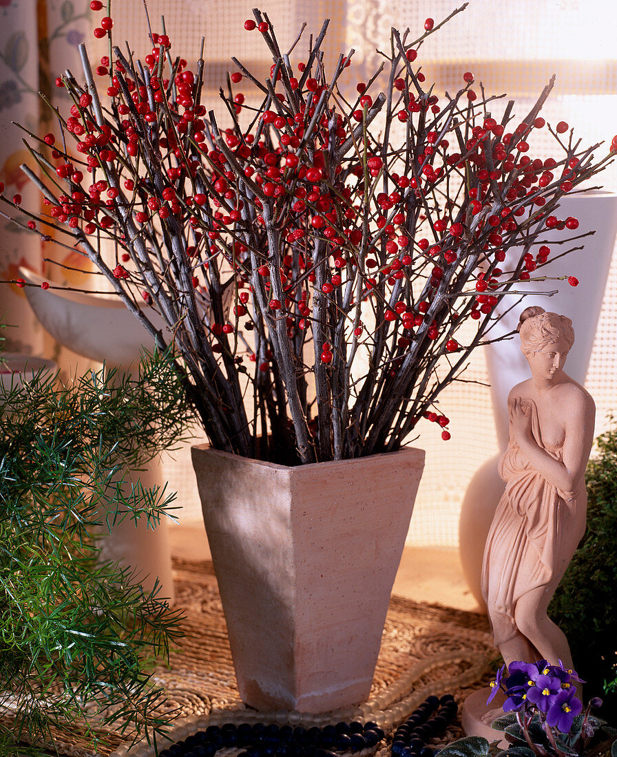 Bouquet of holly branches