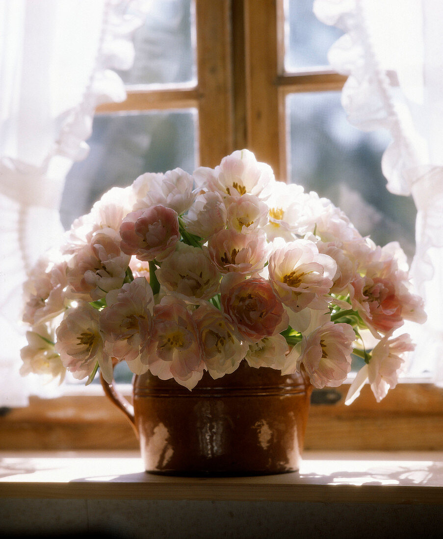 Bouquet of tulips