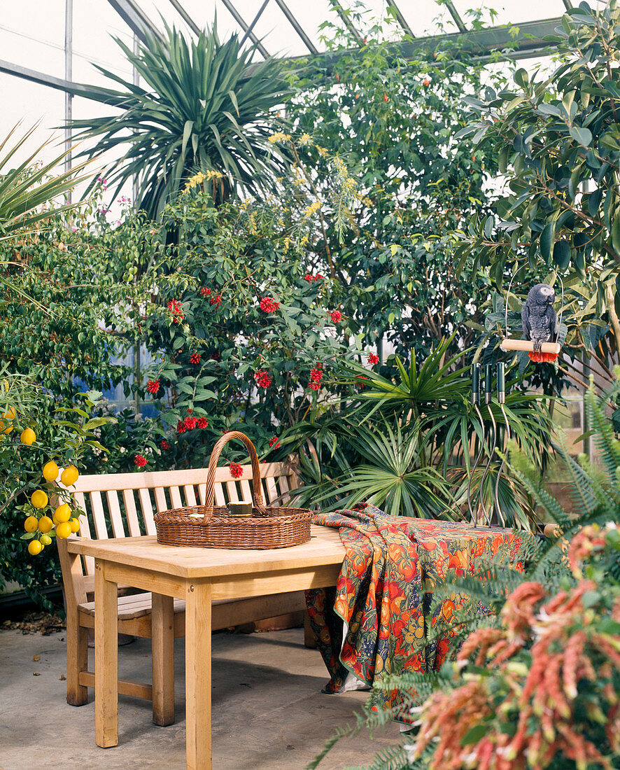 Wintergarten mit Citrus, Cordyceps und anderen Pflanzen