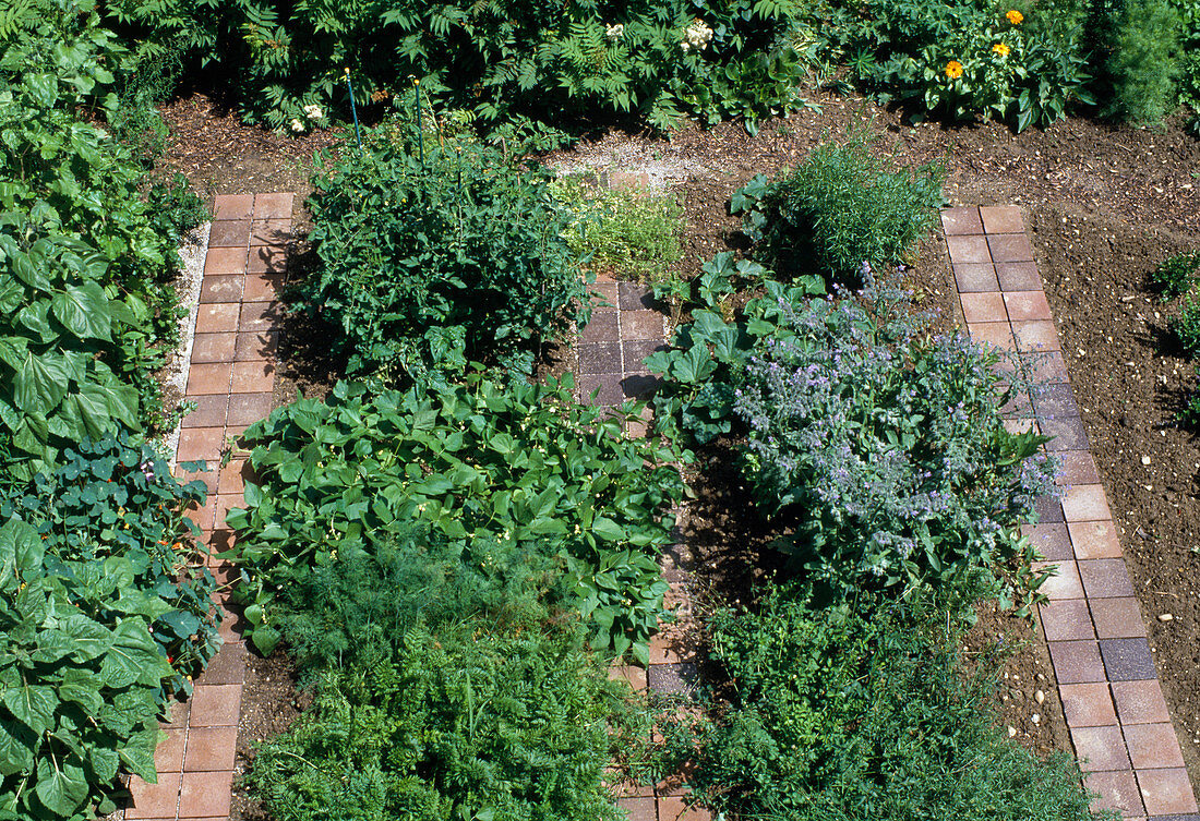 Vegetable and herb bed