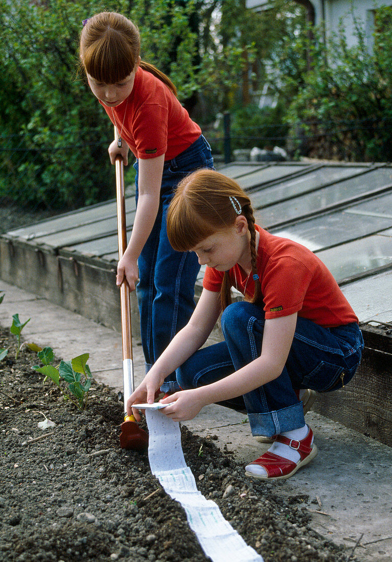 Sowing with seed tape