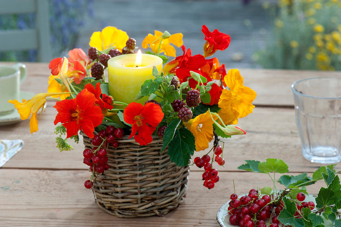 Lantern with arrangement of Tropaeolum majus (Nasturtium)