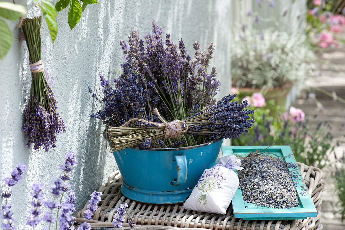 Dried lavandula (lavender) in enamel bowl