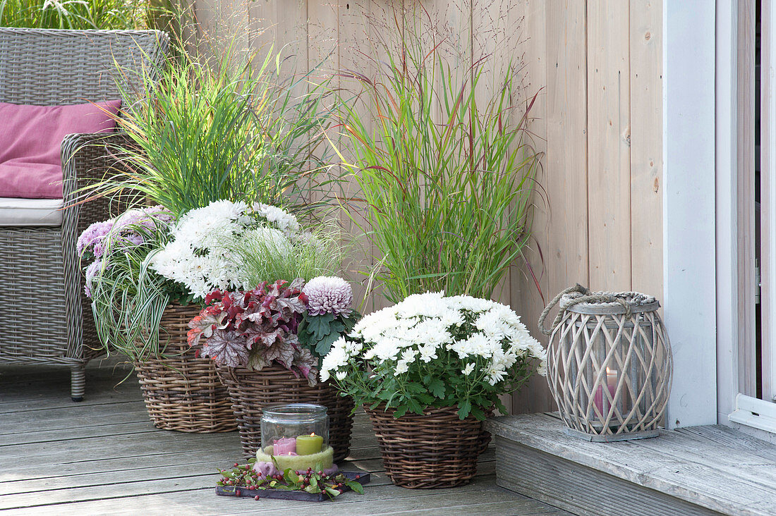 Terrasse mit weissen Chrysanthemen und Gräsern